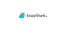 Essay Writing Service Ready to Help Online 24/7